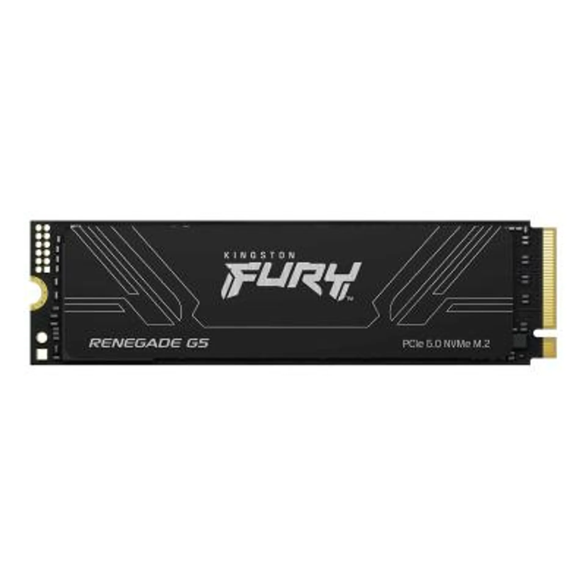 Kingston Fury Renegade Internal (SFYR2S 1T0) SSD 1TB M 2 Kingston2 Kingston 2