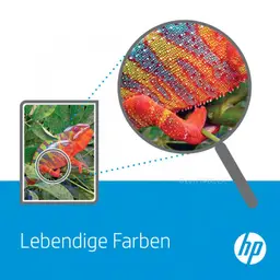 HP Cartridge No 312A HP312A HP 312A Schwarz — Bild 6