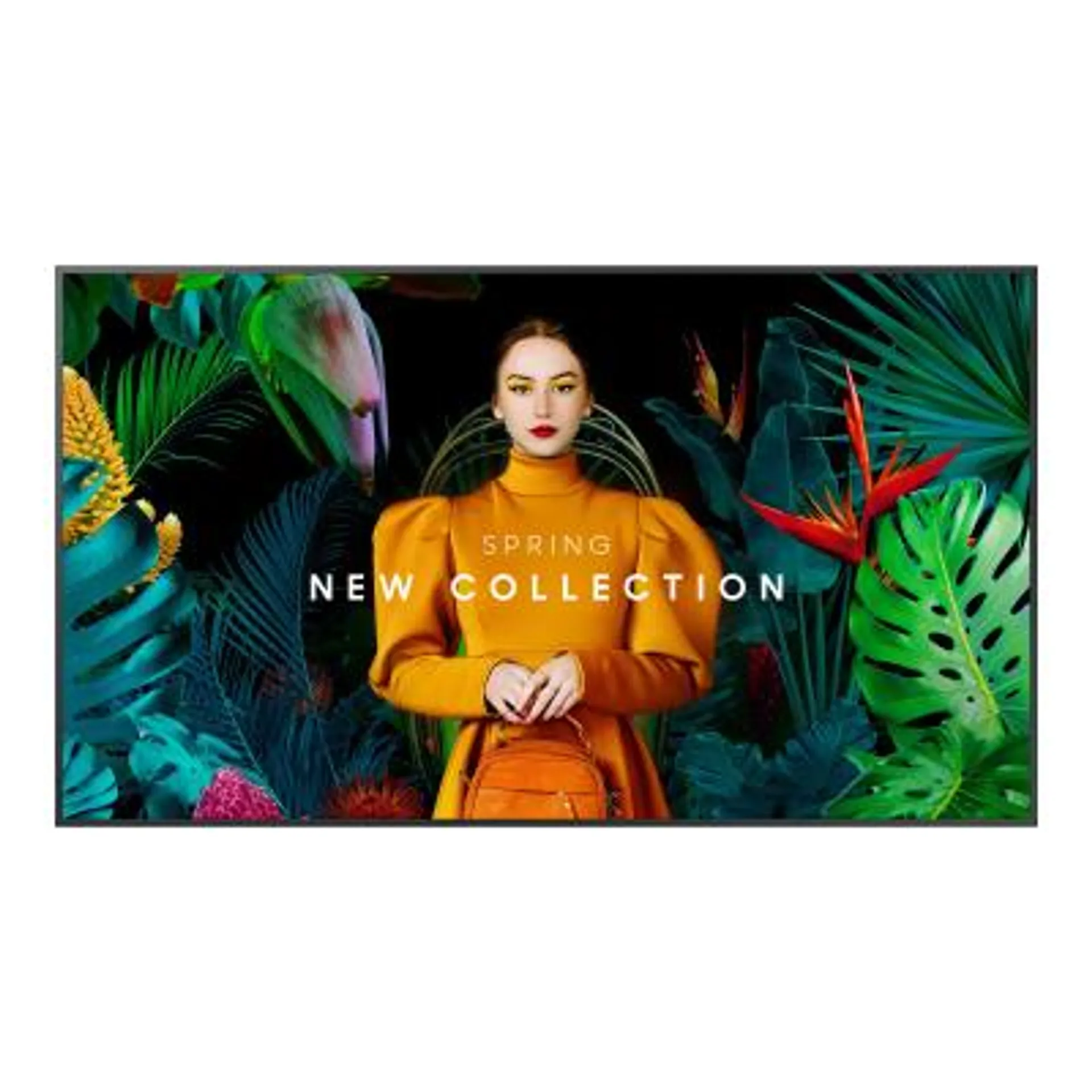 Samsung Digital Signage QMC Serie 43 QM43C